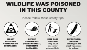 Poisoning the well for outdoor recreation in northeast Oregon: Alarming incidents lead to collateral damage for wildlife, pets